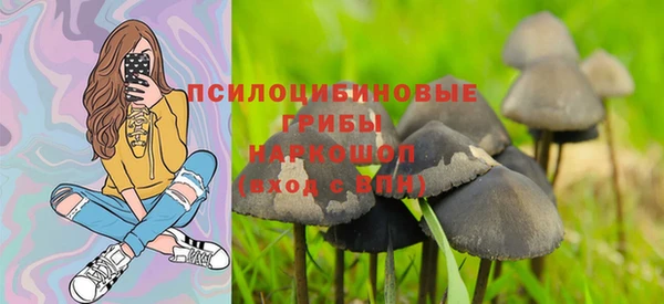 каннабис Алексеевка