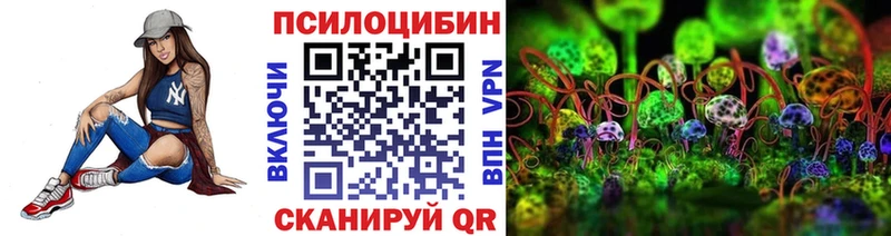 Псилоцибиновые грибы Psilocybine cubensis  закладка  Киселёвск 